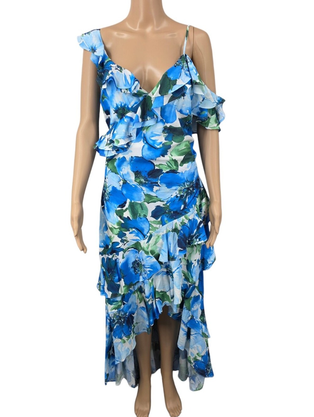 Alex Marie Lacey Ruffle Sleeveless Floral Asymmetric Hi-Lo Hem Maxi Dress  NWT